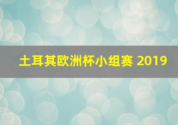 土耳其欧洲杯小组赛 2019